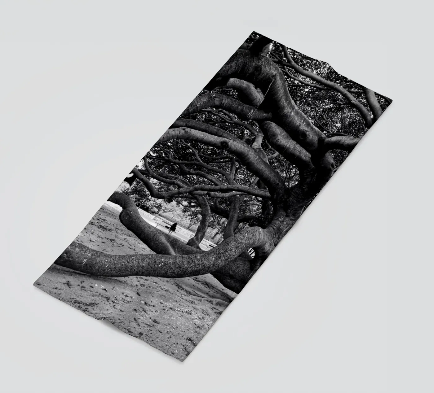 Old tree telo mare da Fjöllart