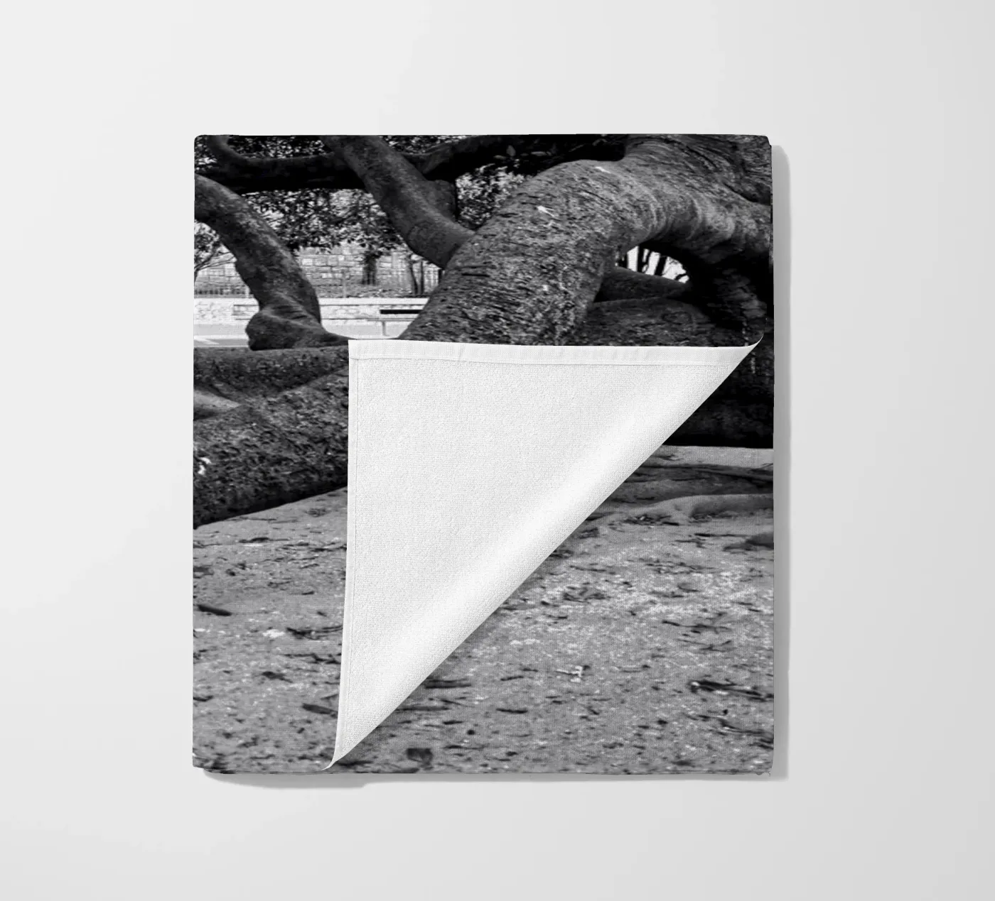 Old tree telo mare da Fjöllart