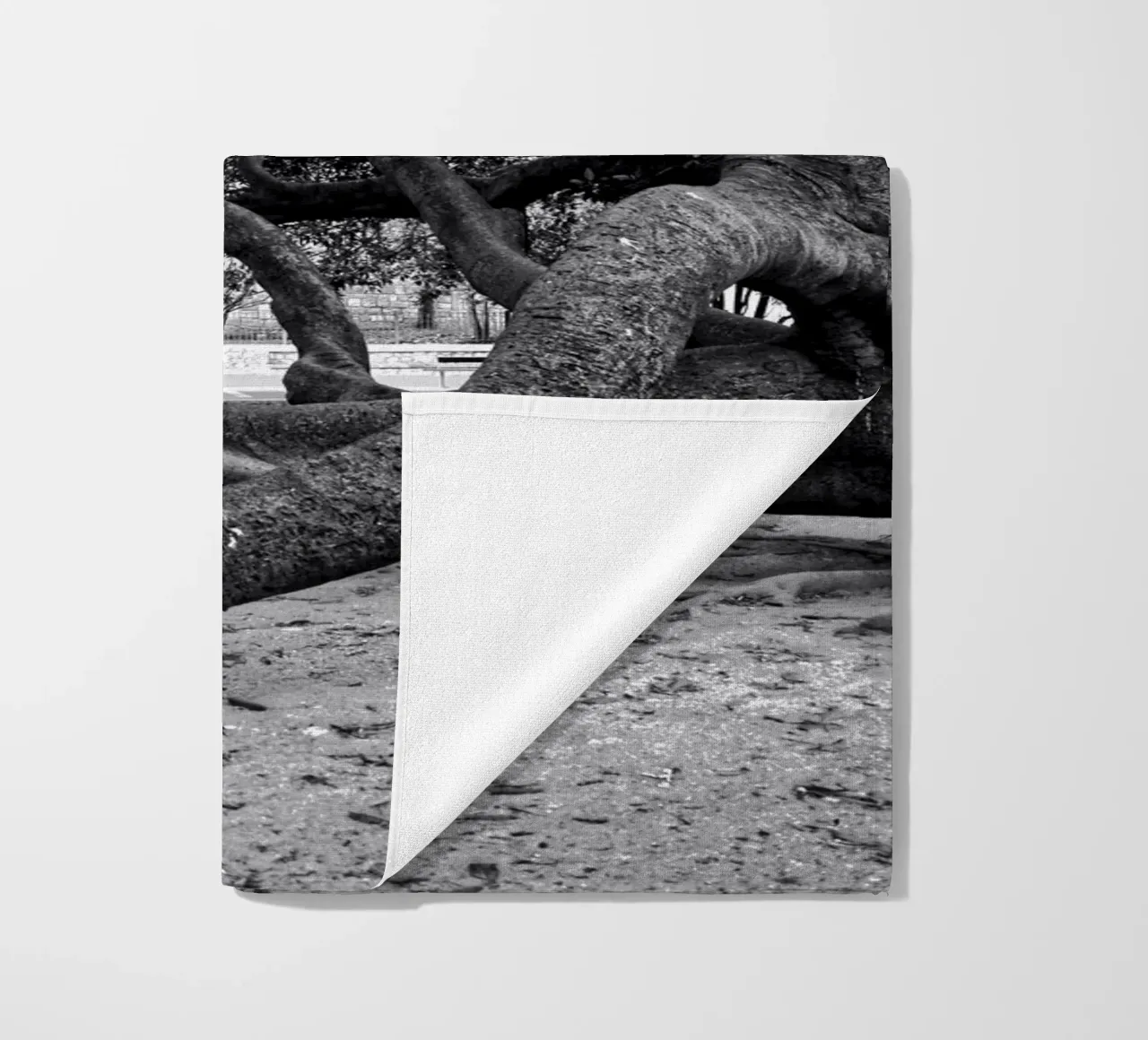 Old tree telo mare da Fjöllart