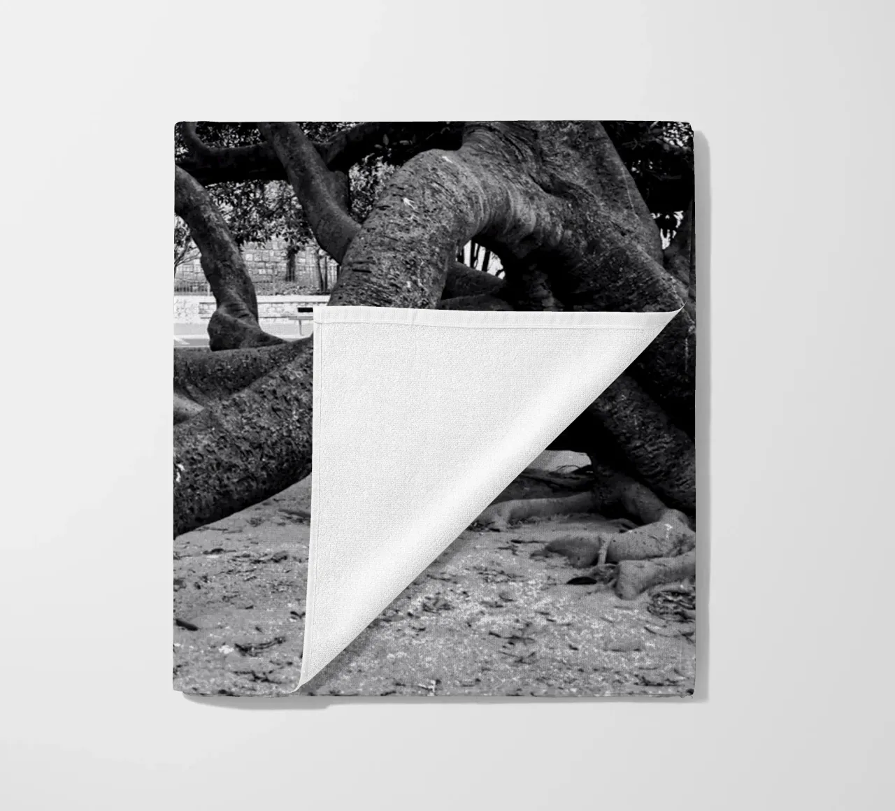 Old tree telo mare da Fjöllart