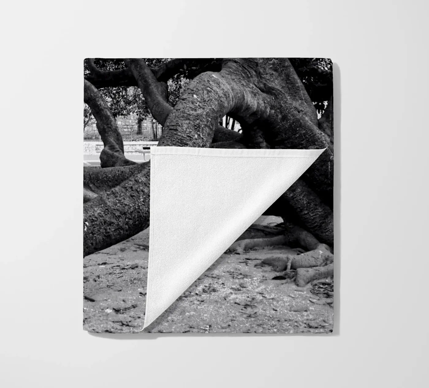 Old tree telo mare da Fjöllart