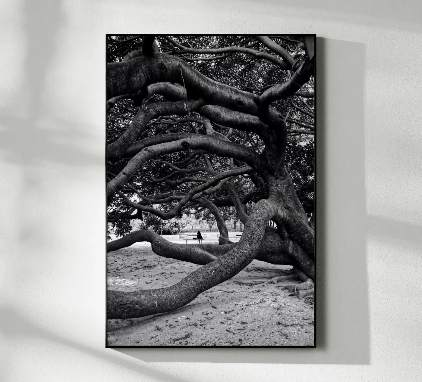 Old tree plexiglass da Fjöllart