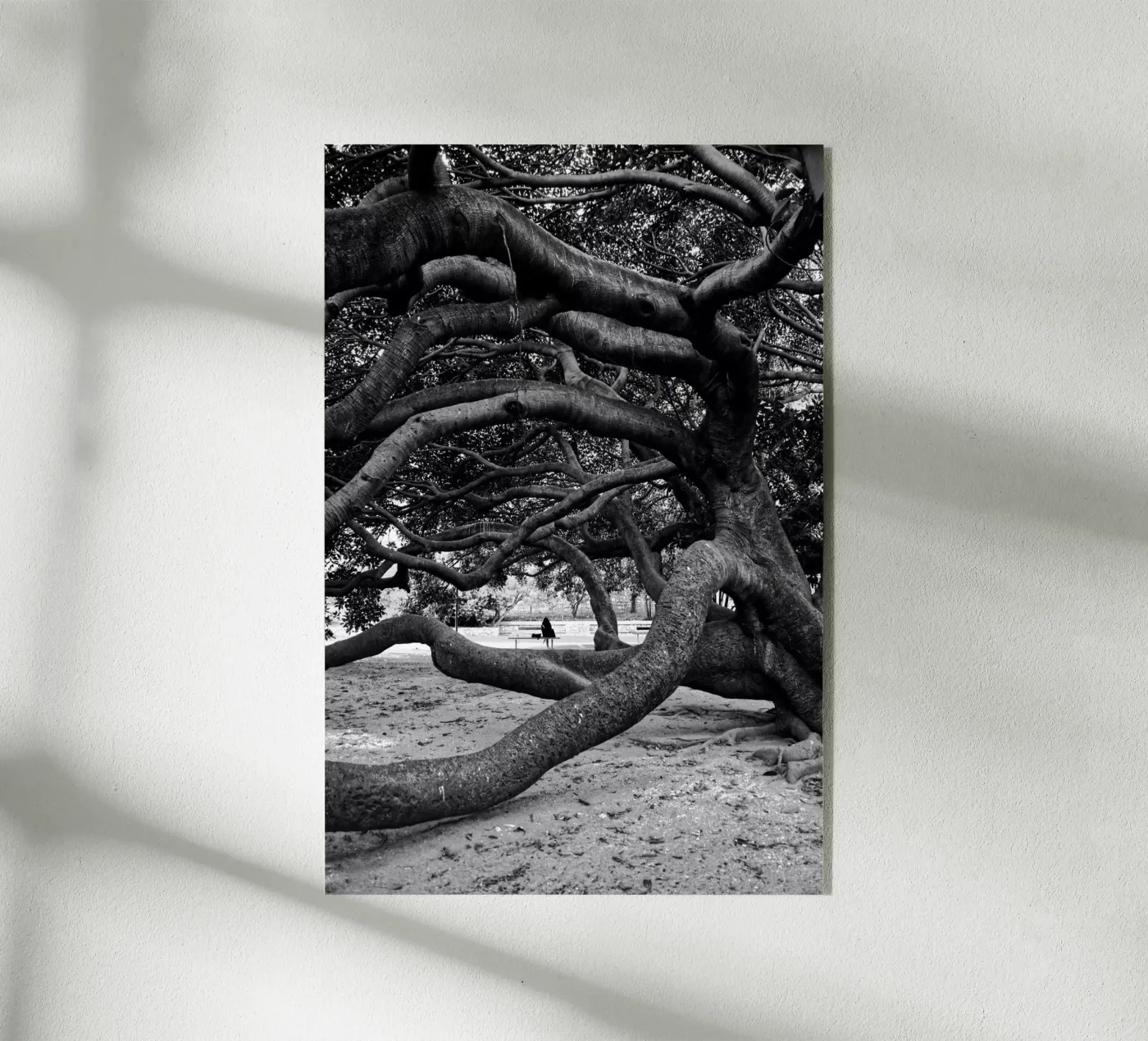 Old tree plexiglass da Fjöllart