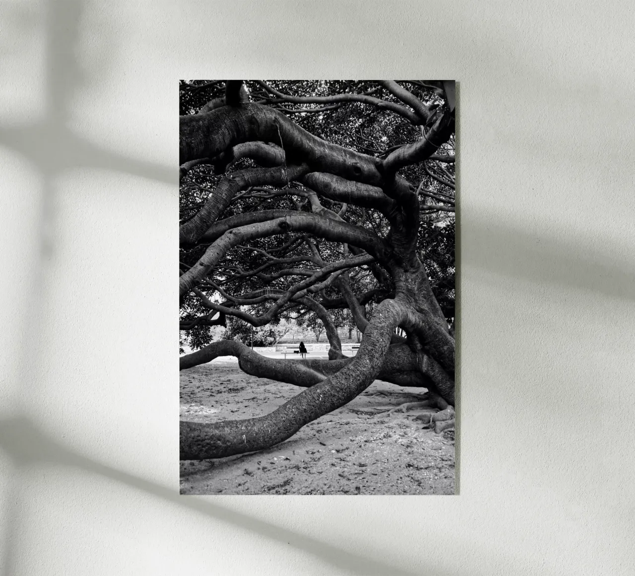 Old tree plexiglass da Fjöllart