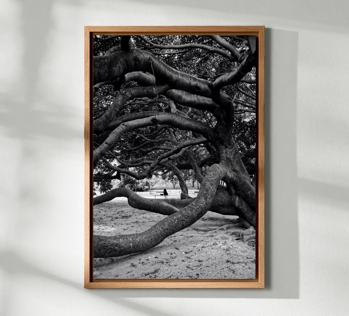 Old tree forex plate by Fjöllart