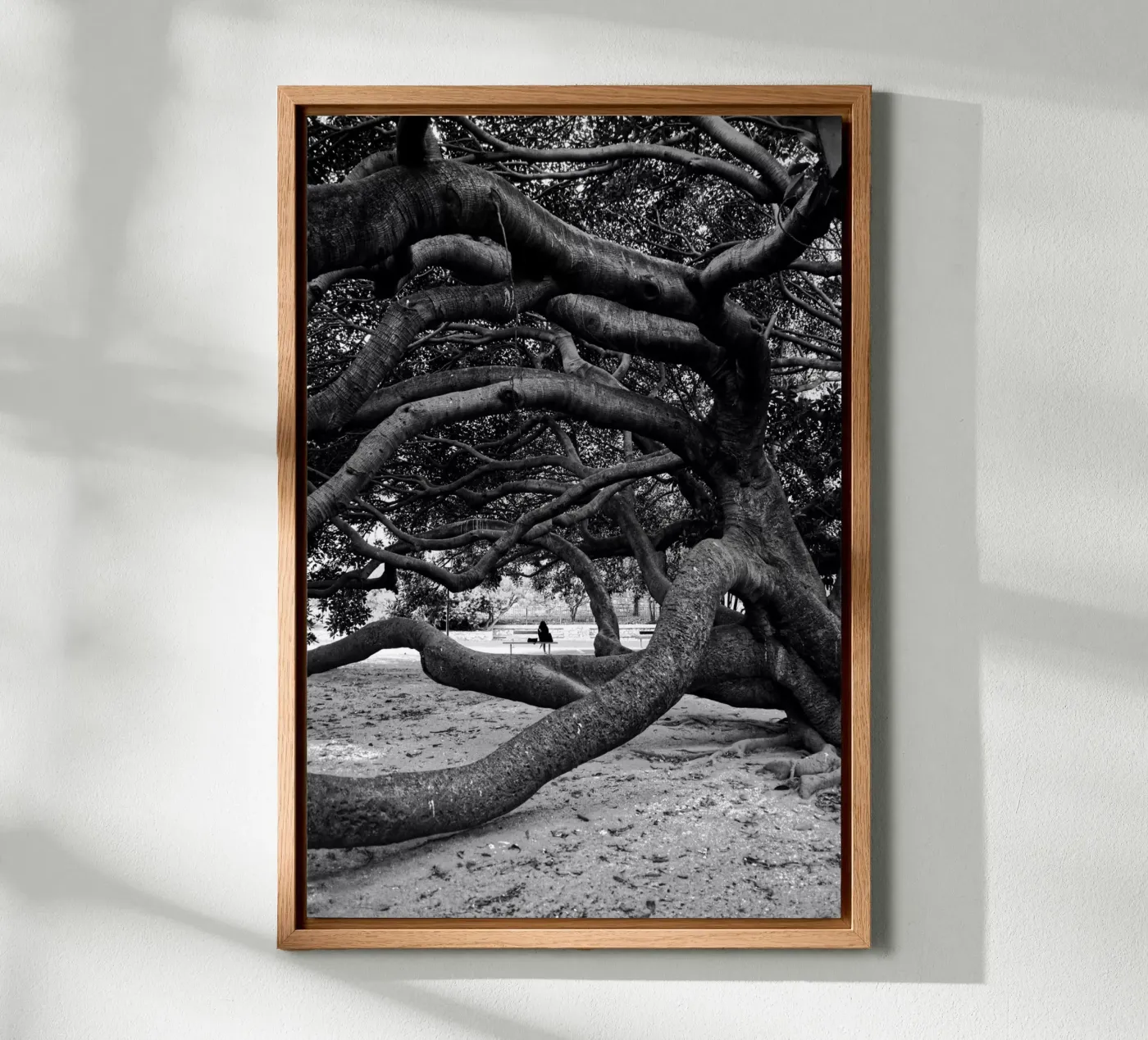 Old tree alluminio dibond da Fjöllart