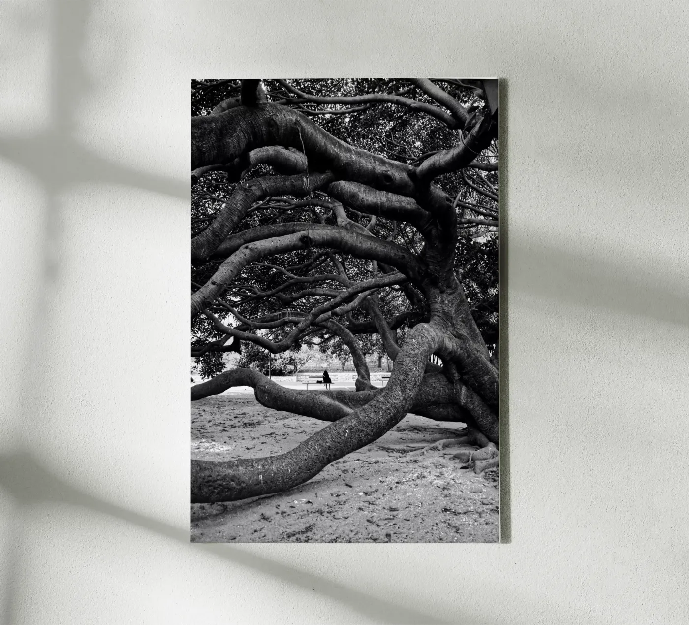 Old tree tela da Fjöllart