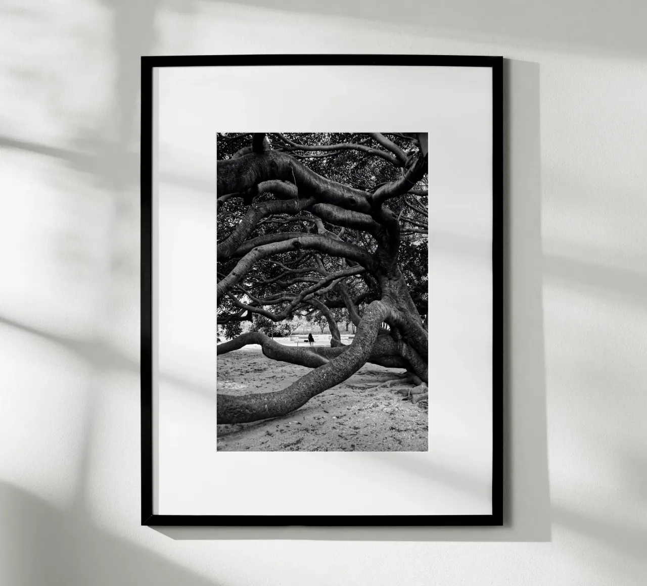 Old tree carta hahnemühle da Fjöllart