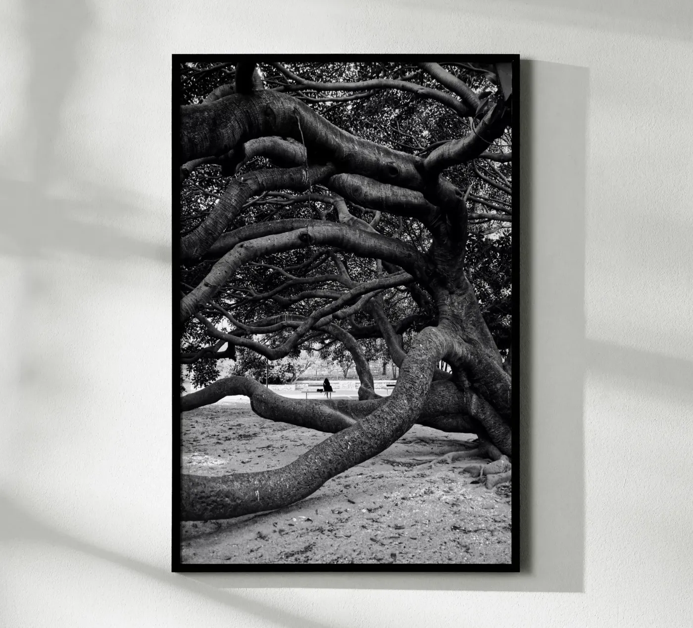 Old tree poster da Fjöllart