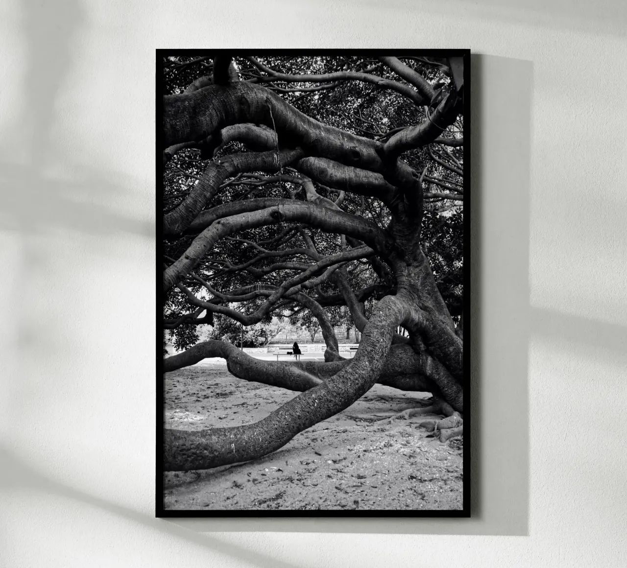 Old tree carta hahnemühle da Fjöllart