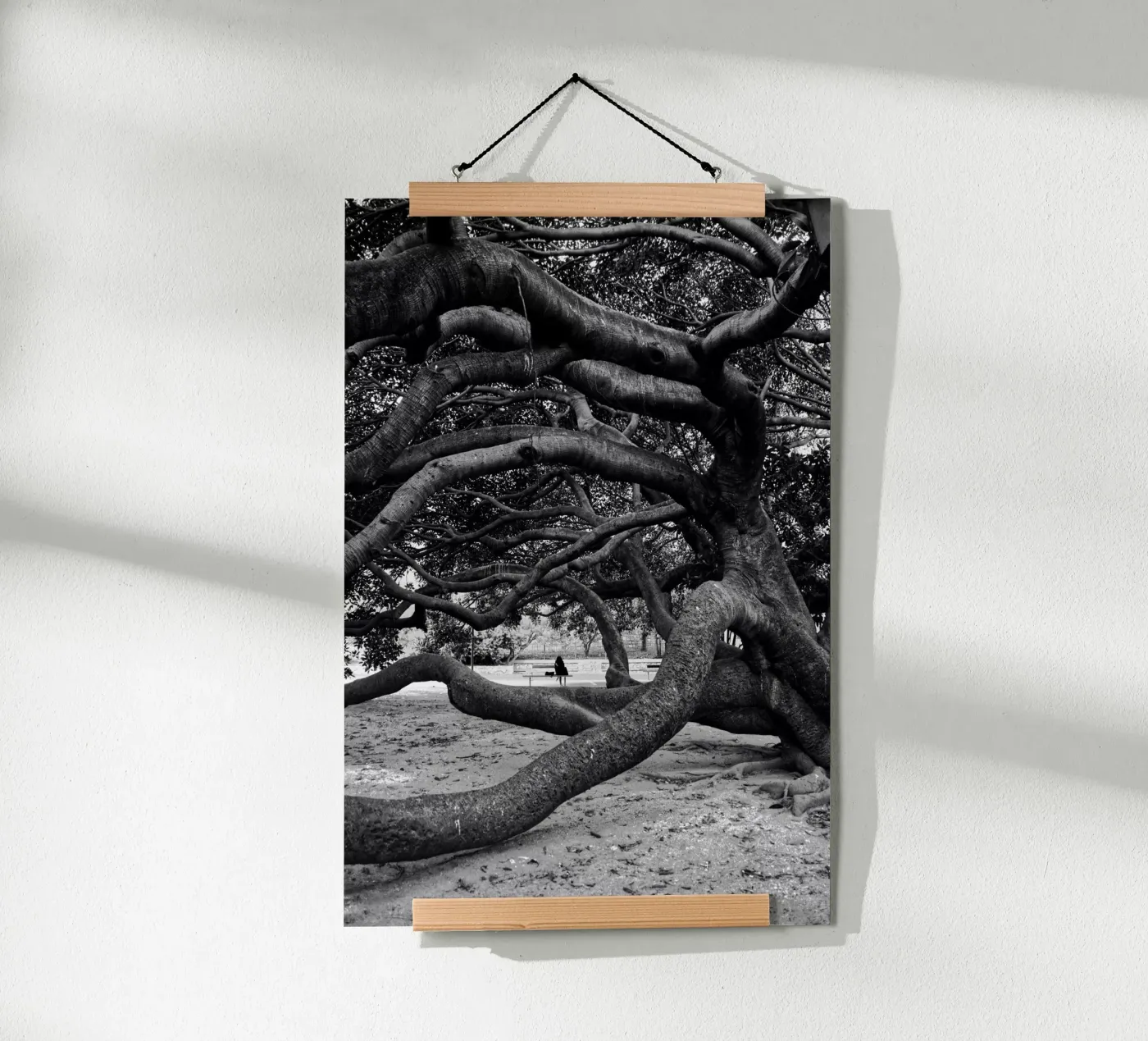 Old tree poster da Fjöllart