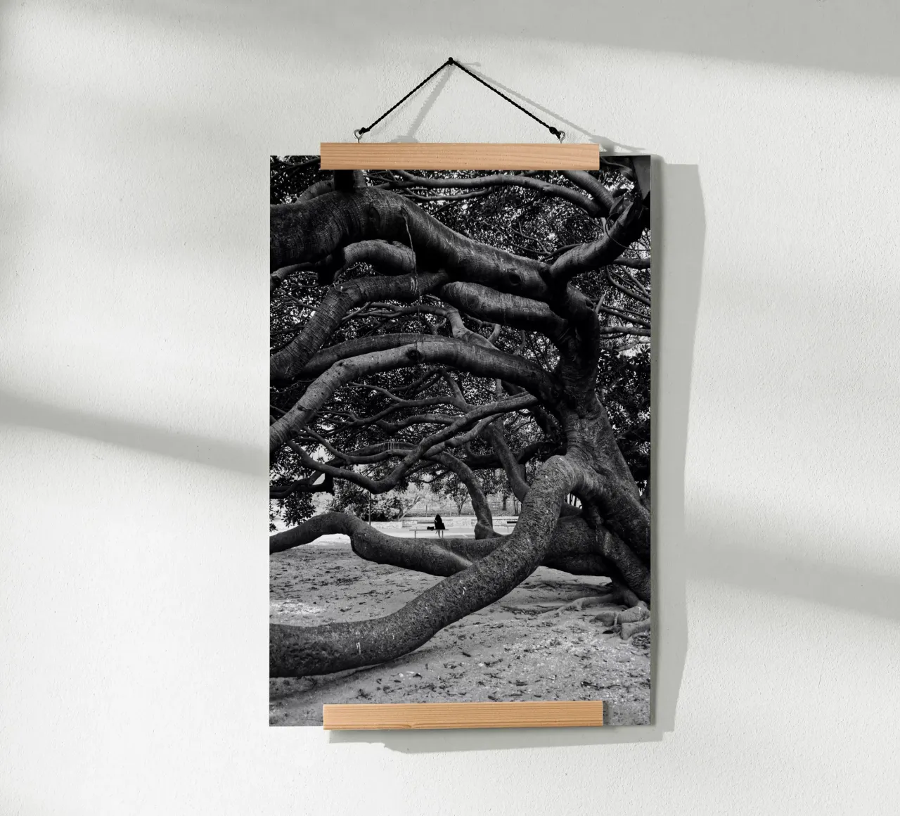 Old tree carta hahnemühle da Fjöllart