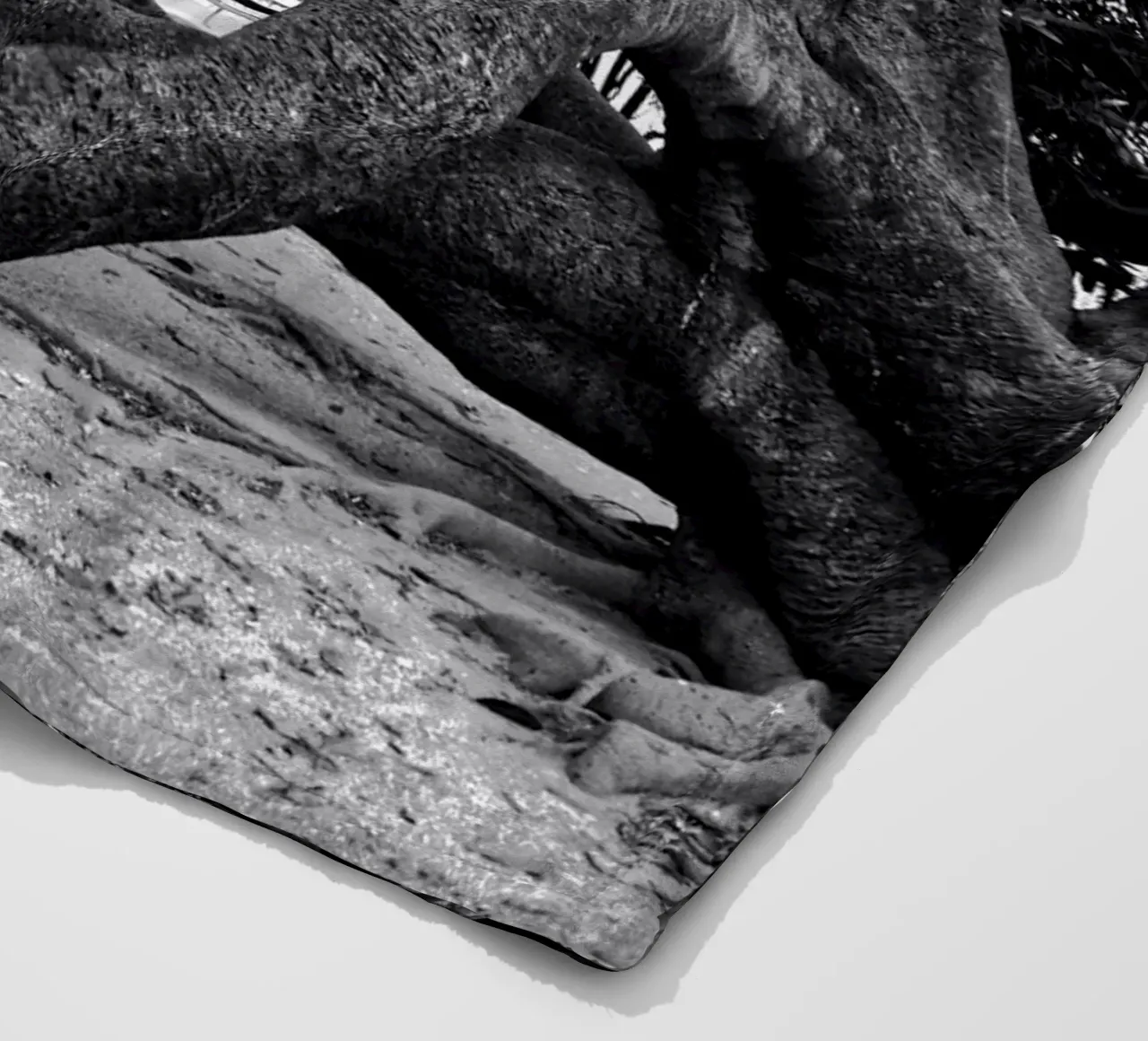 Old tree coperta in pile da Fjöllart