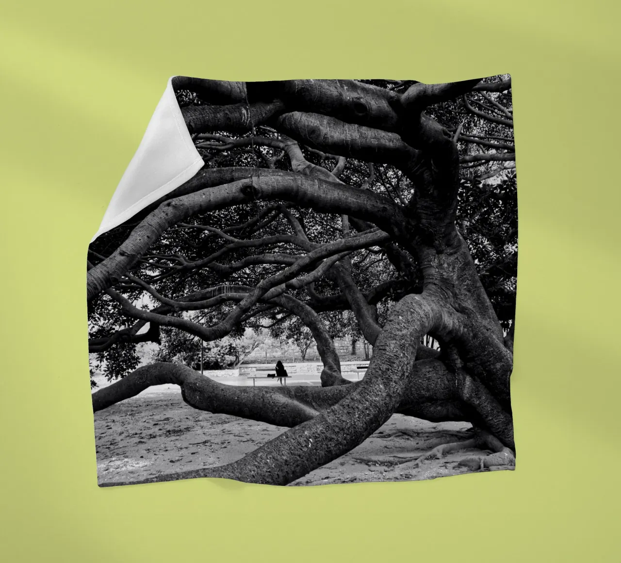 Old tree coperta in pile da Fjöllart