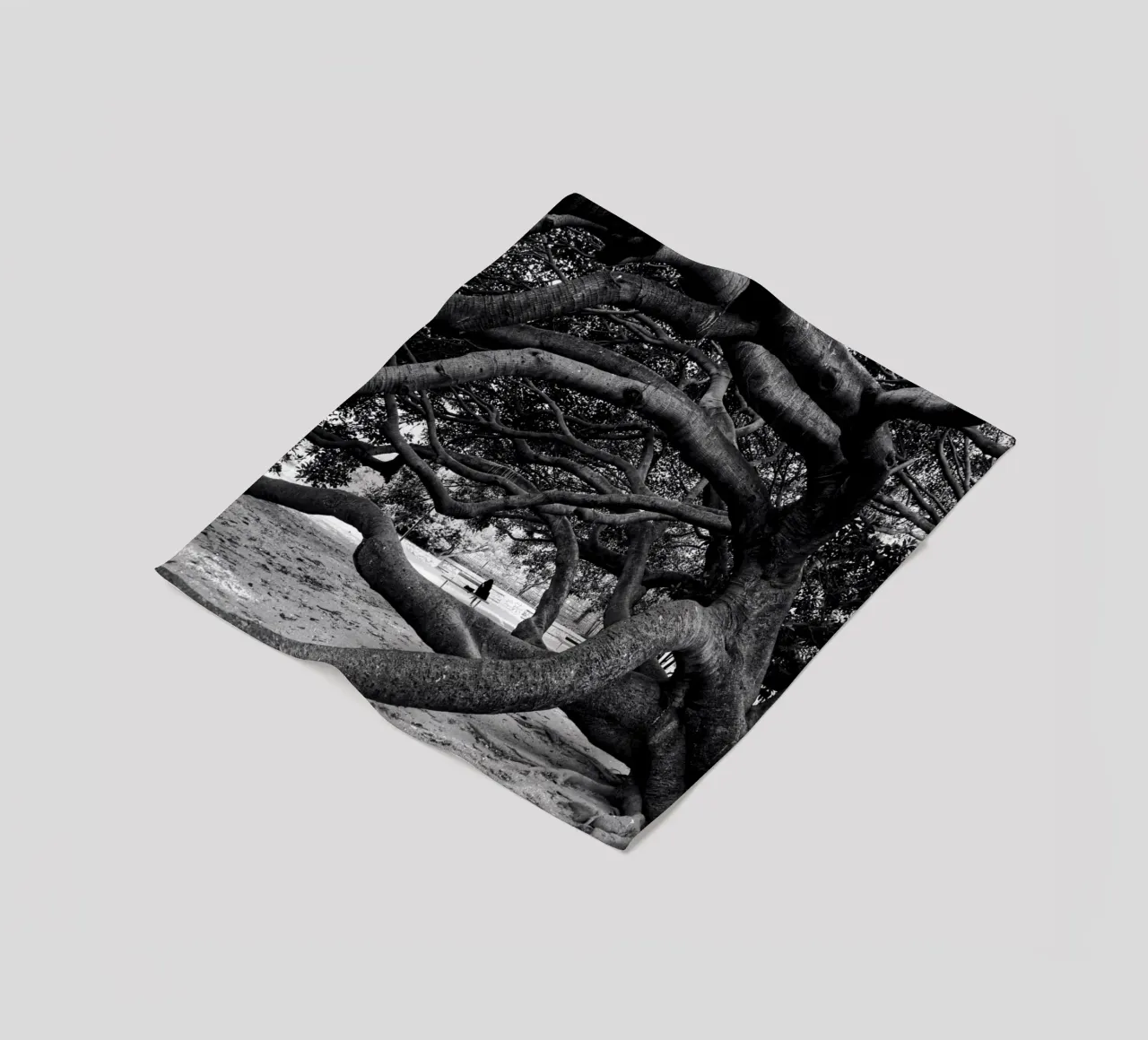 Old tree coperta in pile da Fjöllart