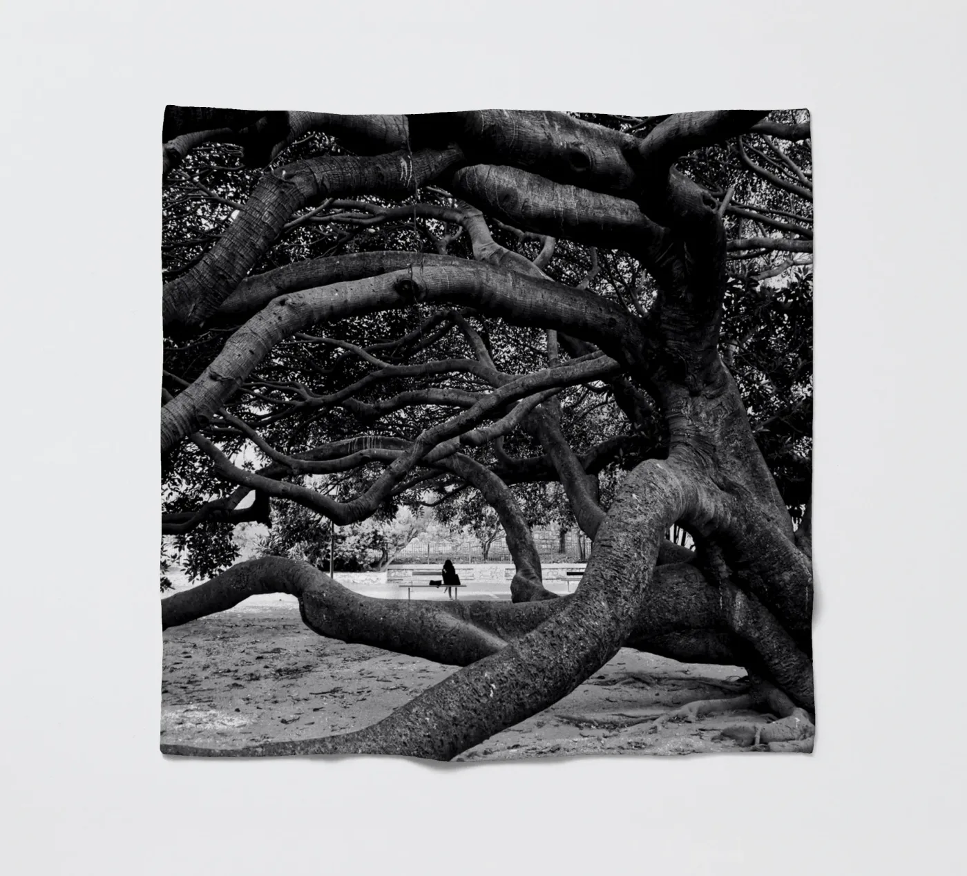 Old tree fleecedeken van Fjöllart