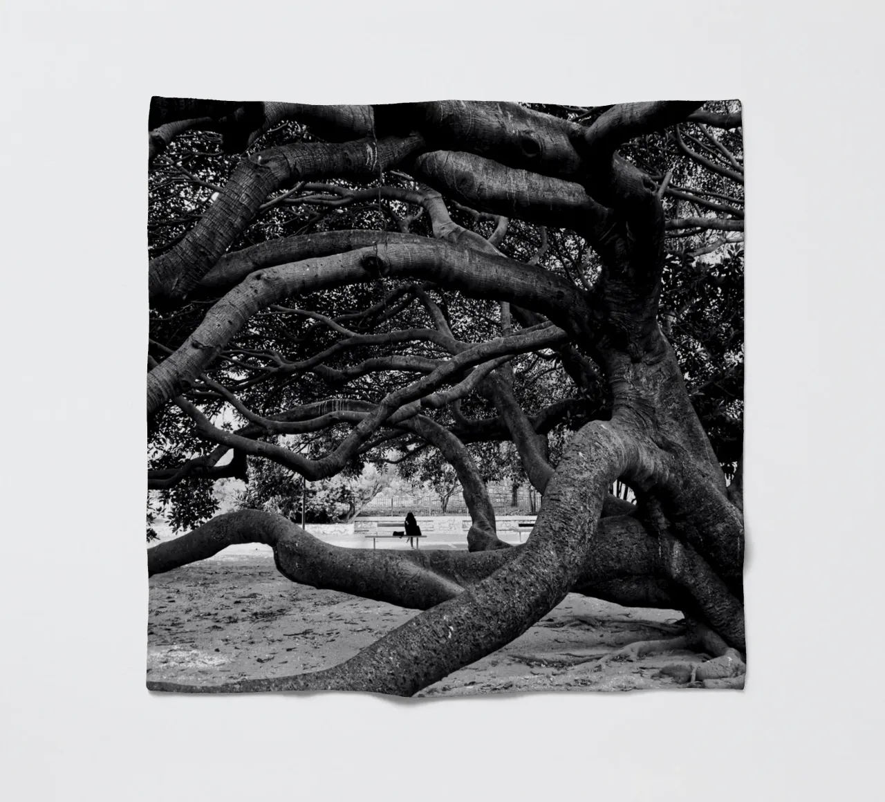 Old tree coperta in pile da Fjöllart