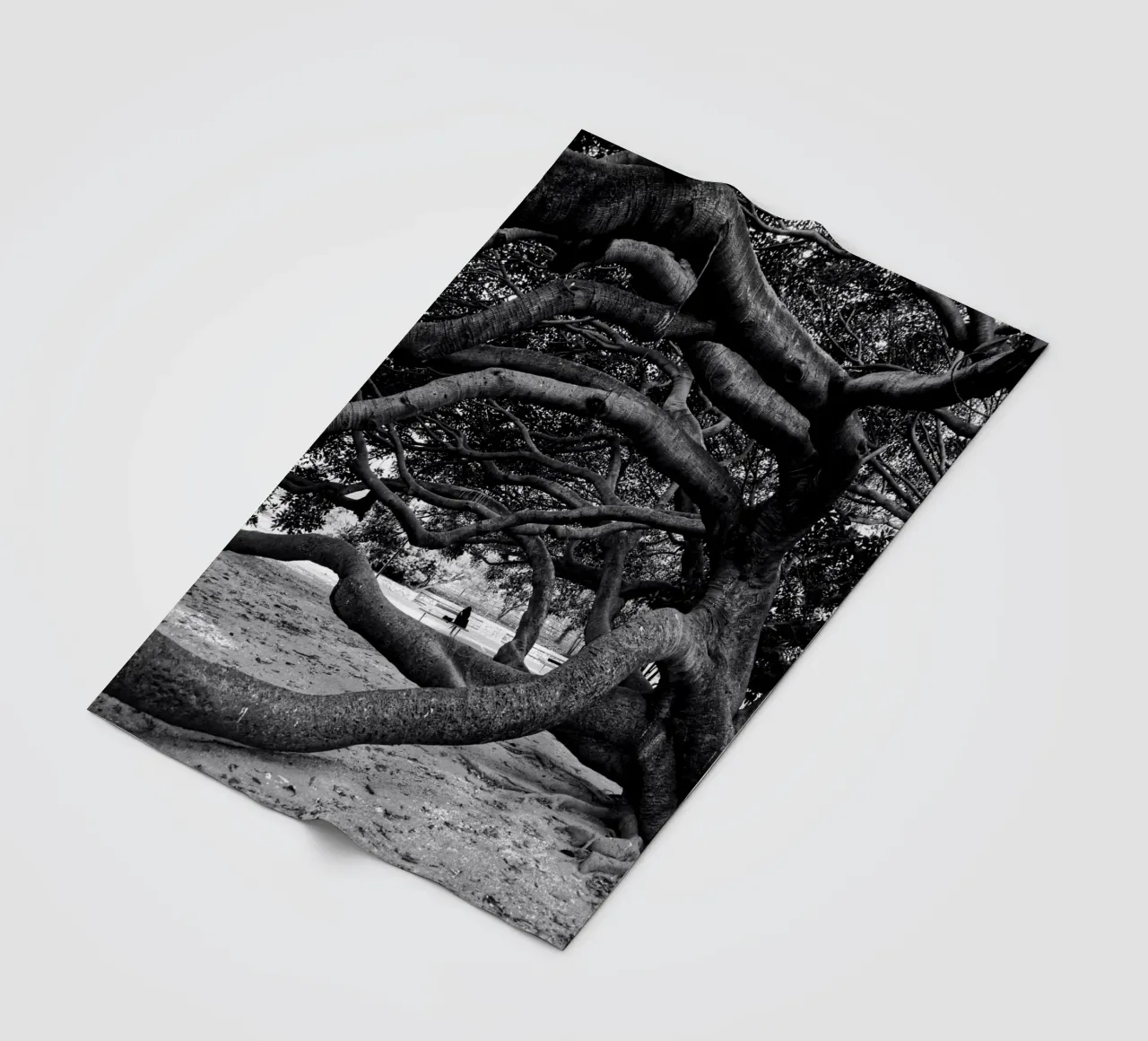 Old tree coperta in pile da Fjöllart