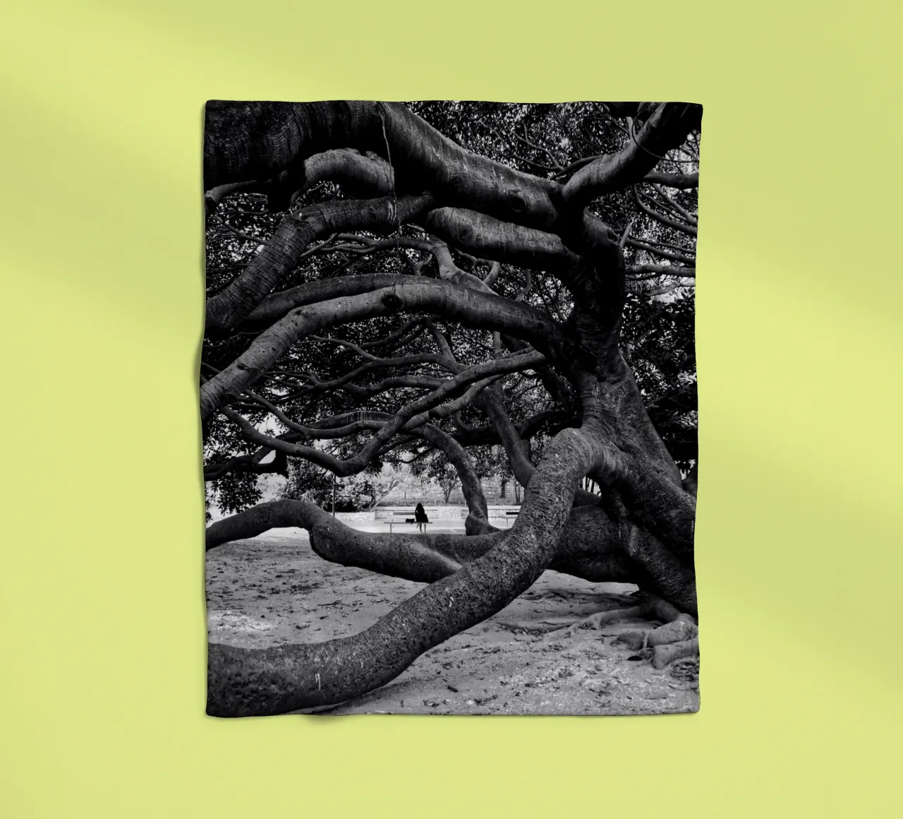 Old tree coperta in pile da Fjöllart