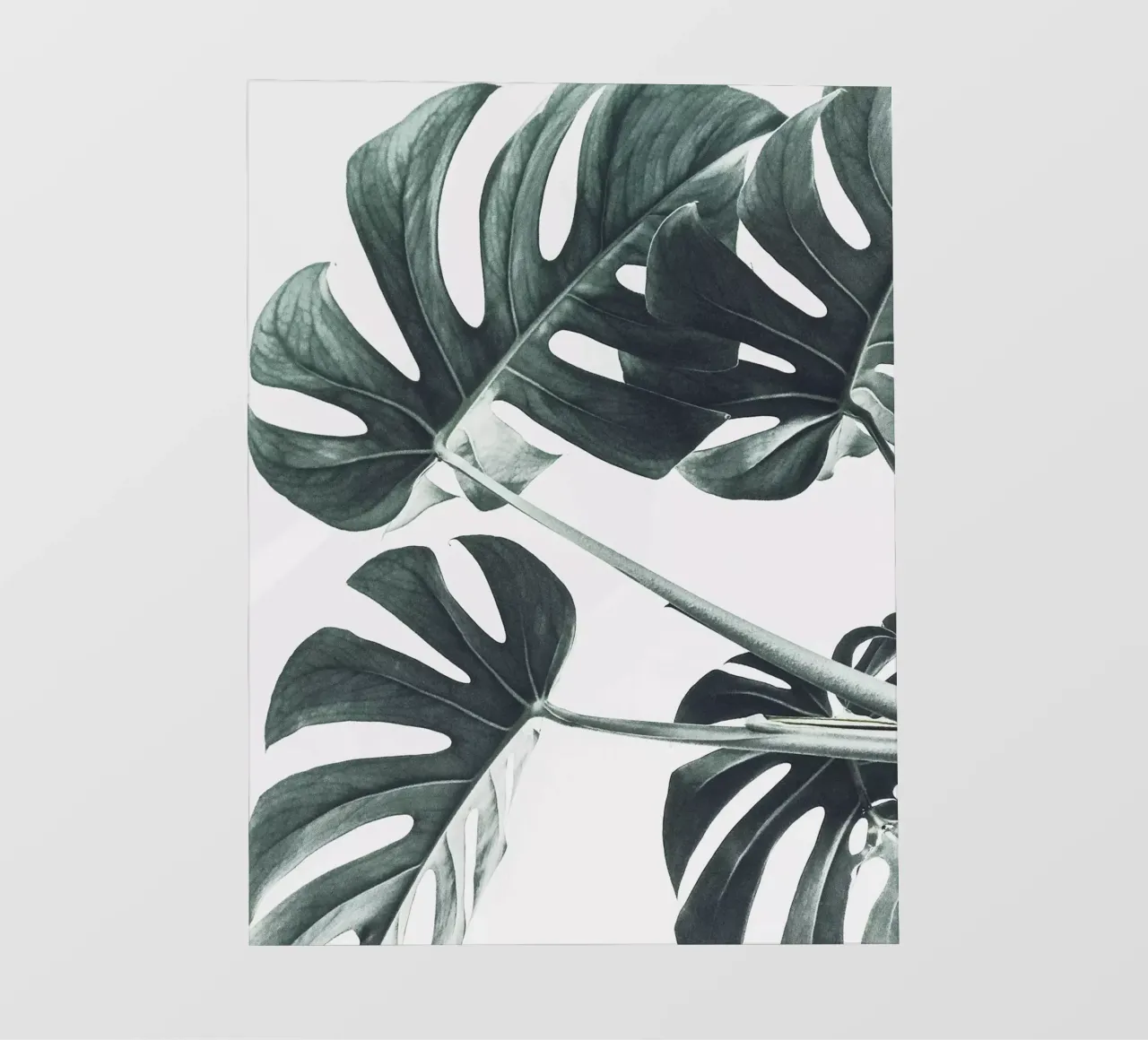 Foglie di Monstera - Design botanico minimalista telo in pvc da Whole©