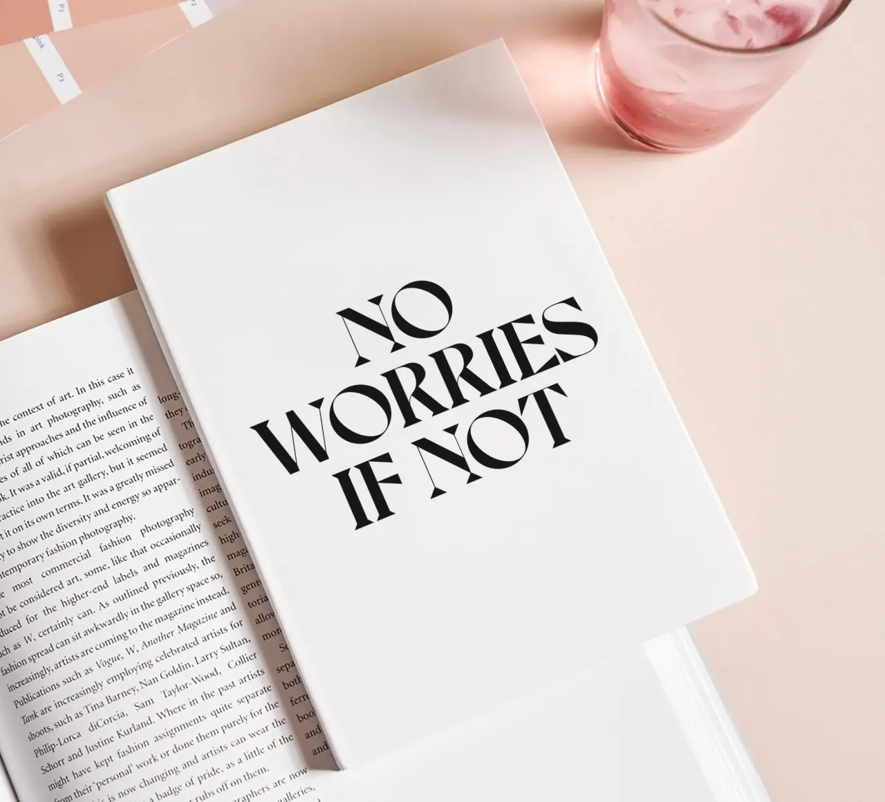 PAS DE SOUCIS SI CE N'EST PAS LE CAS carnet de notes de n.4