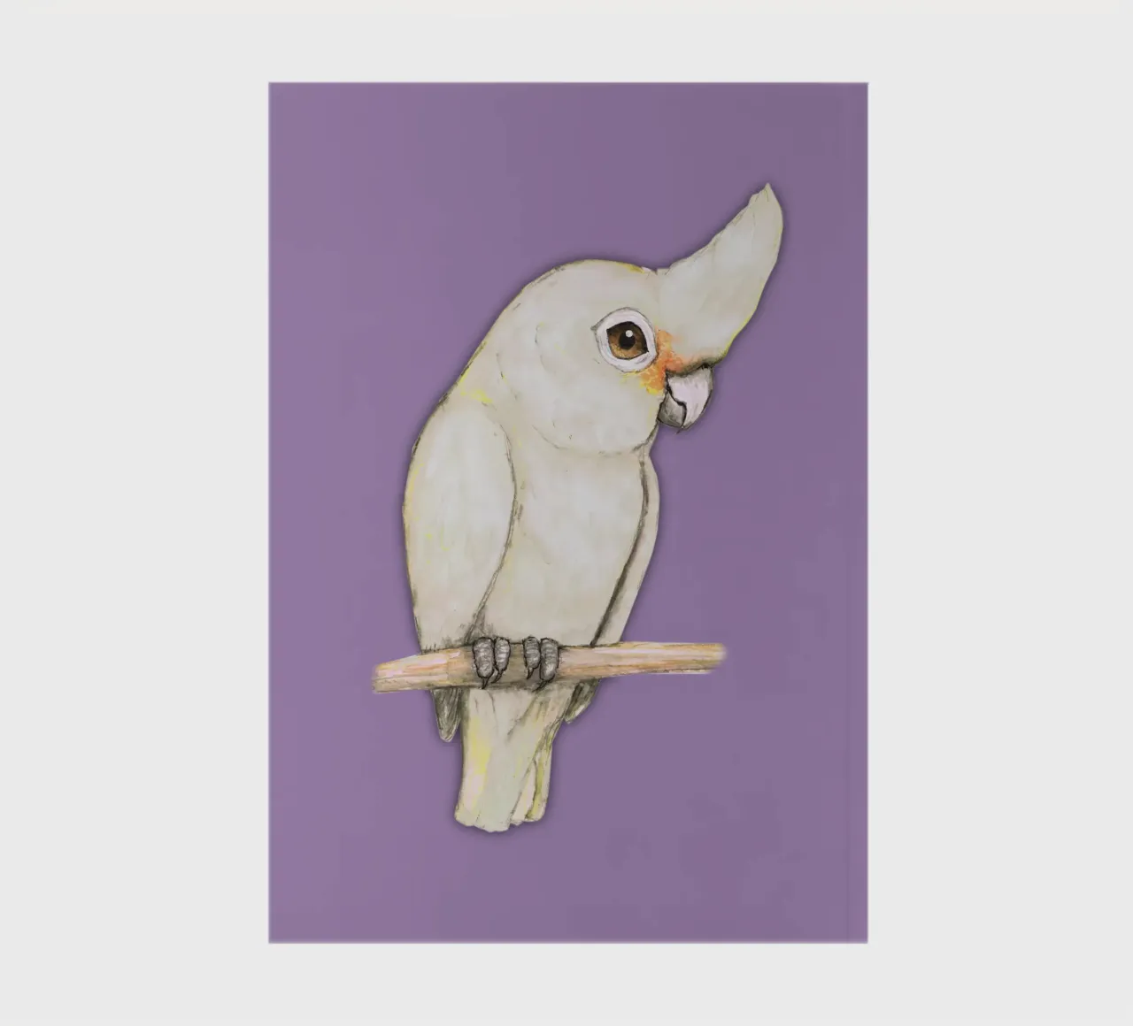 L'acquerello di un simpatico cacatua di Goffin diario da BwiseLizzy