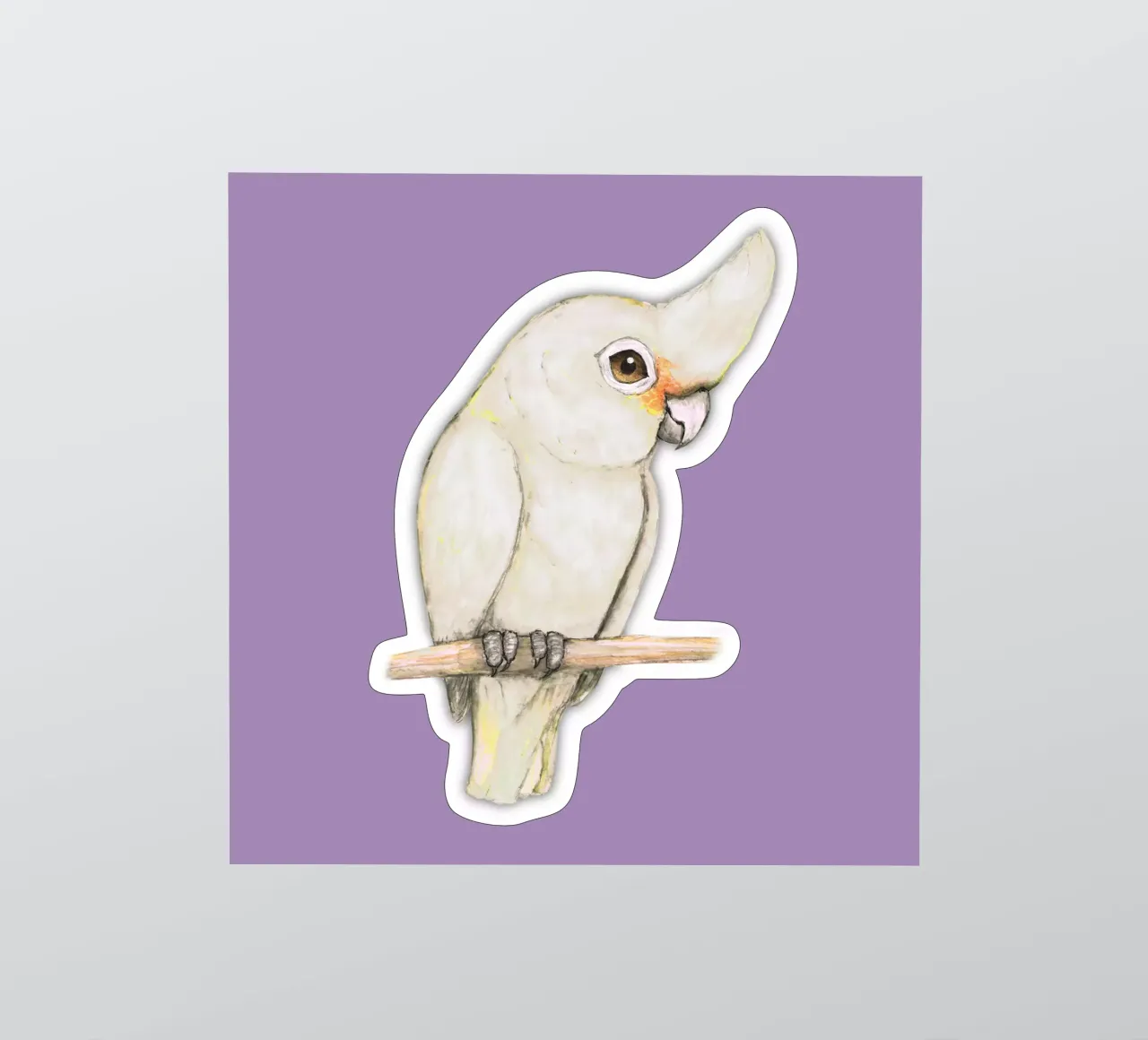 L'acquerello di un simpatico cacatua di Goffin adesivo da BwiseLizzy