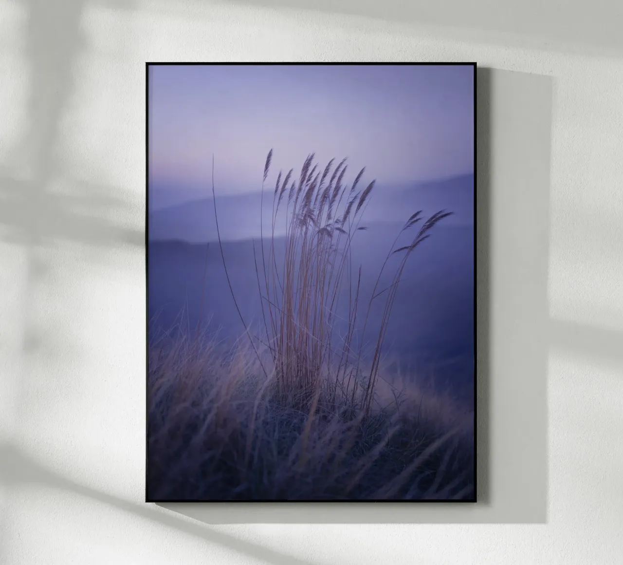 Hierbas al viento bajo una relajante luz violeta metacrilato de Plain Thoughts