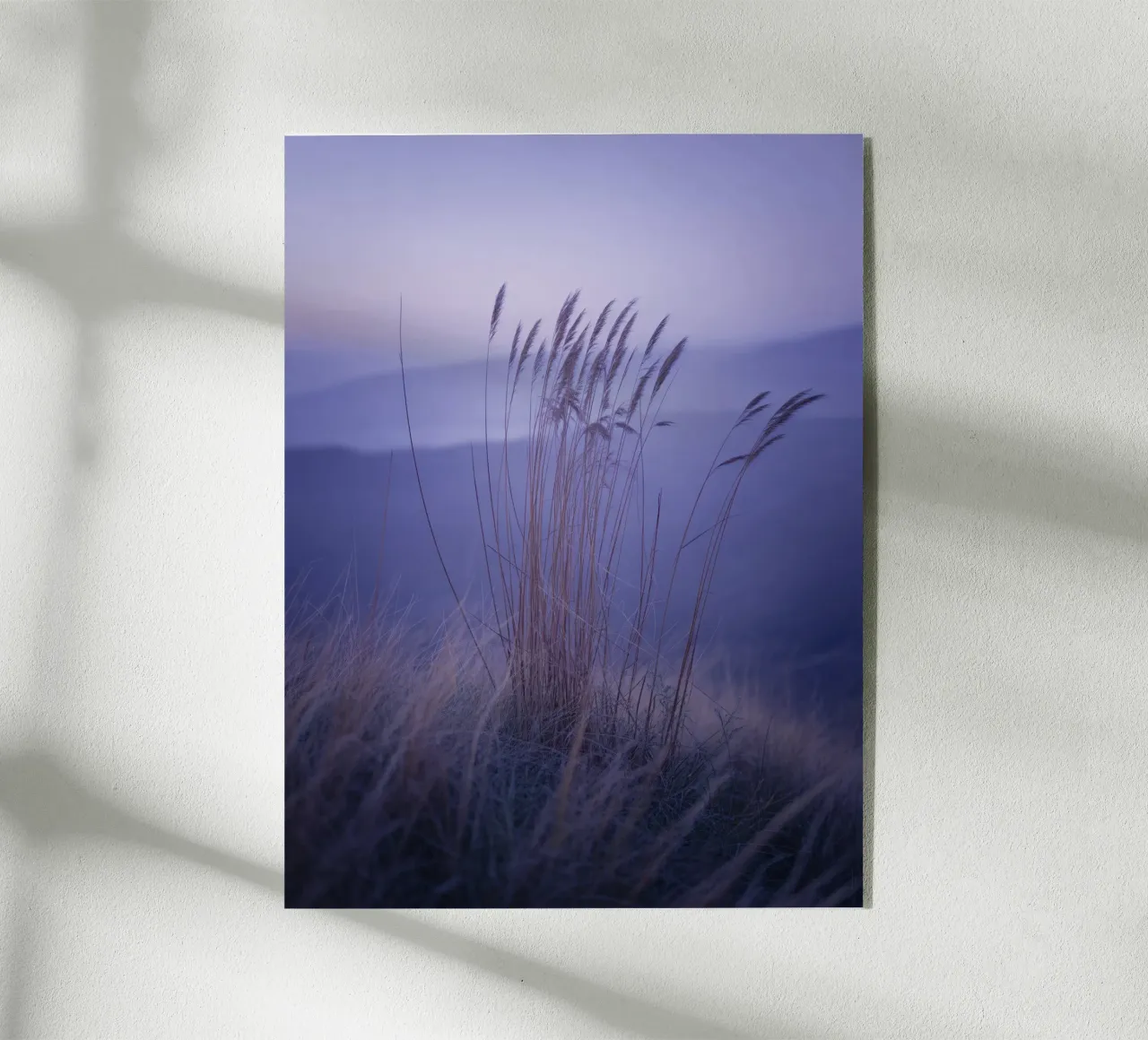 Hierbas al viento bajo una relajante luz violeta metacrilato de Plain Thoughts