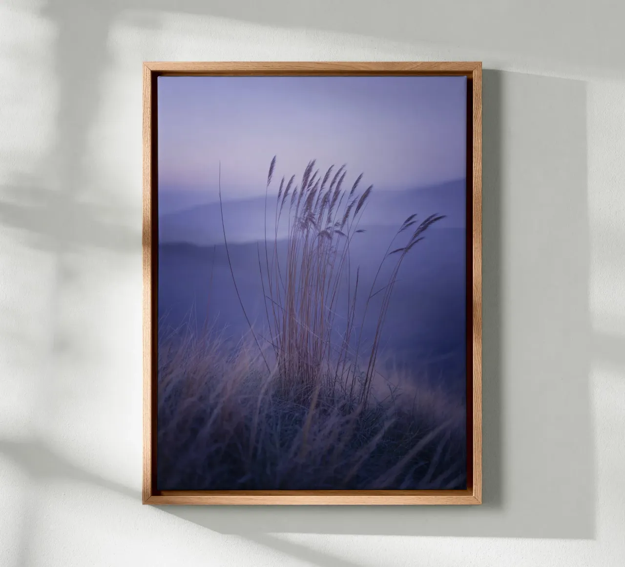 Gräser im Wind unter beruhigendem violettem Licht Leinwand von Plain Thoughts