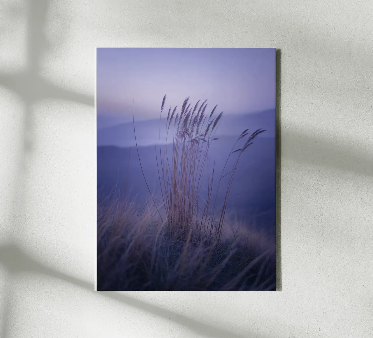 Gräser im Wind unter beruhigendem violettem Licht Leinwand von Plain Thoughts