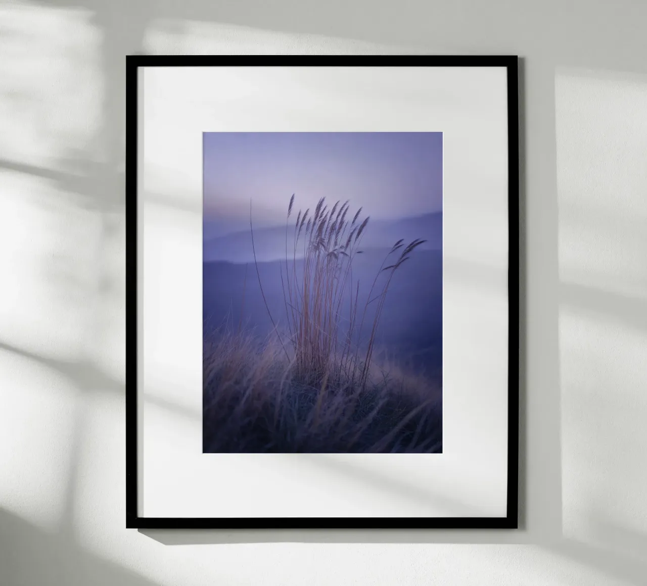 Hierbas al viento bajo una relajante luz violeta hahnemühle de Plain Thoughts