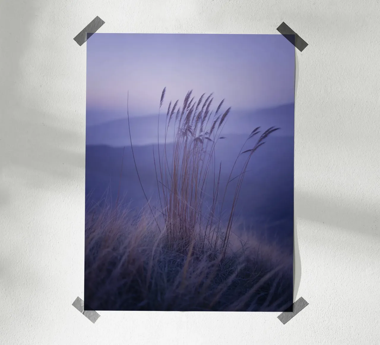 Hierbas al viento bajo una relajante luz violeta hahnemühle de Plain Thoughts
