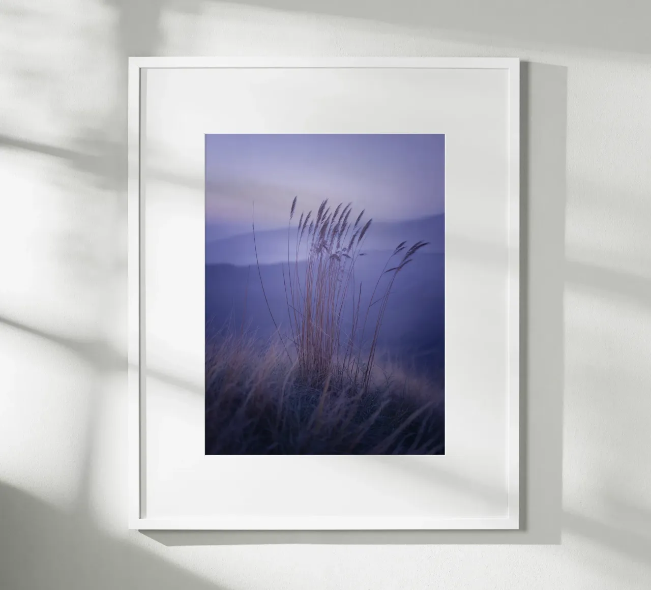 Hierbas al viento bajo una relajante luz violeta hahnemühle de Plain Thoughts