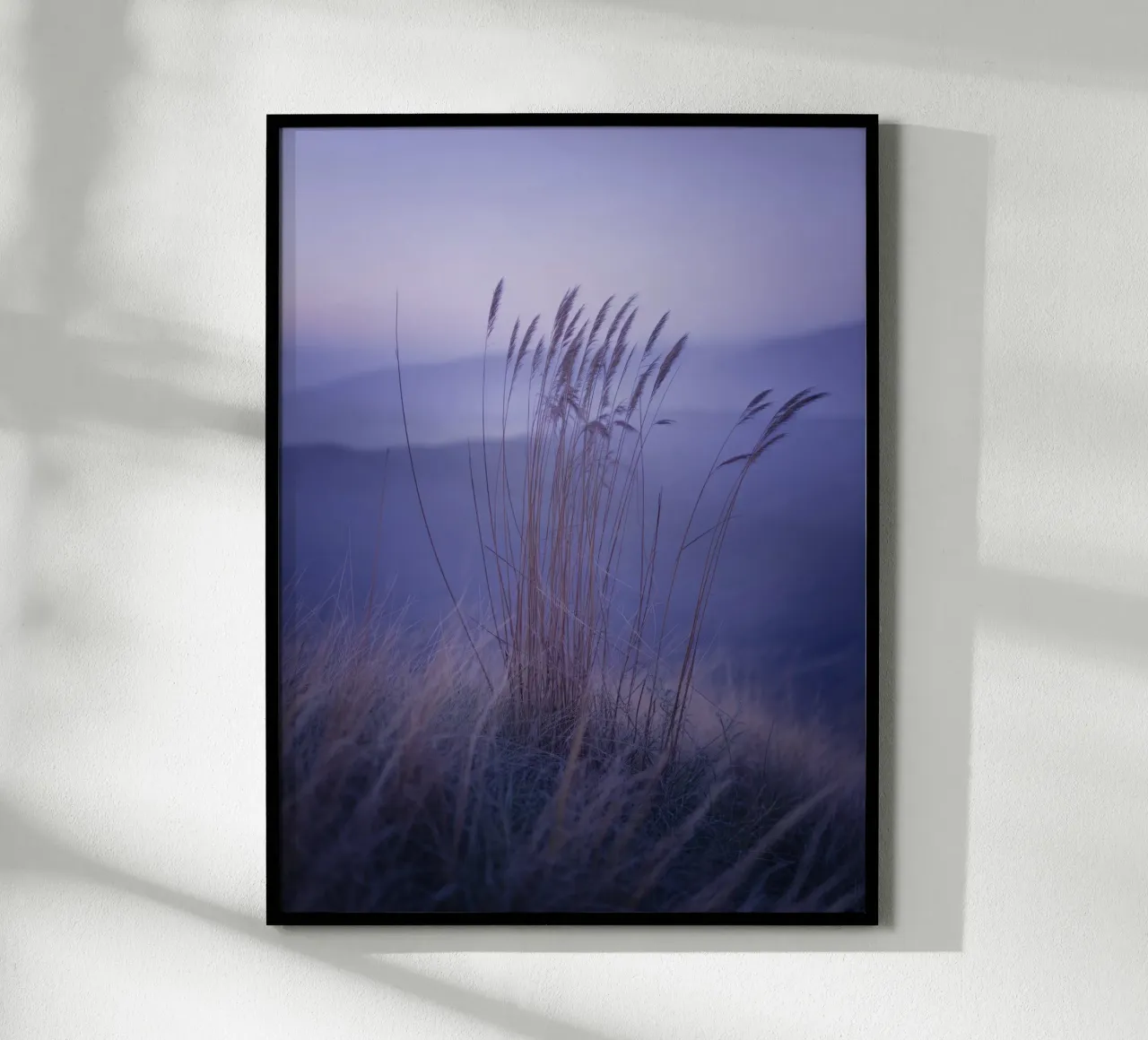 Hierbas al viento bajo una relajante luz violeta hahnemühle de Plain Thoughts