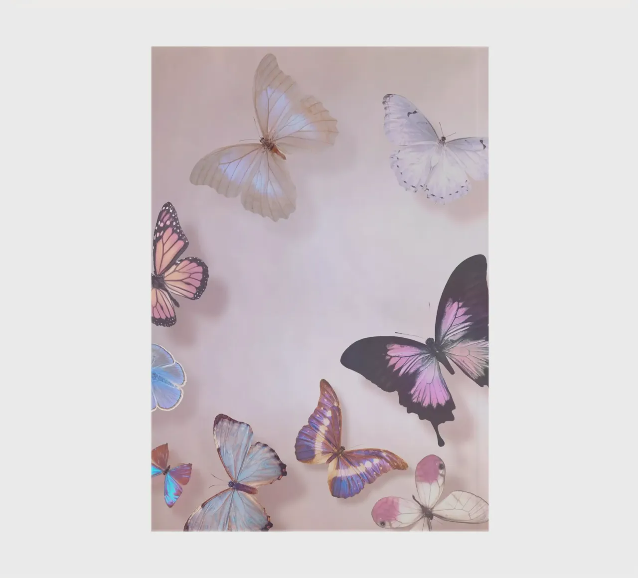 Ethereal Wings notebook by Eva Nev Photography