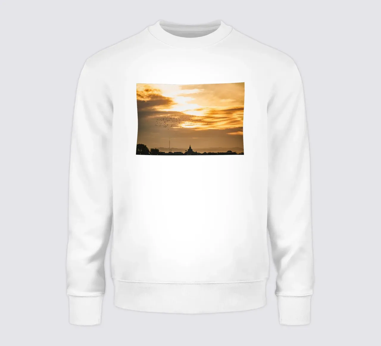Bandada de pájaros al amanecer - Dresde sudadera de Bold and Retro