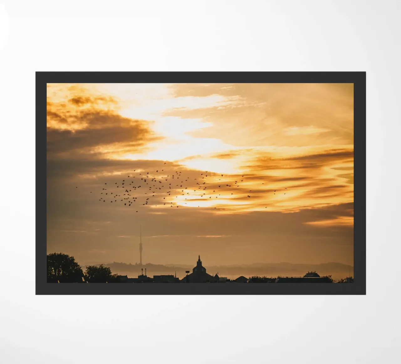 Alba a Dresda zerbino da Bold and Retro