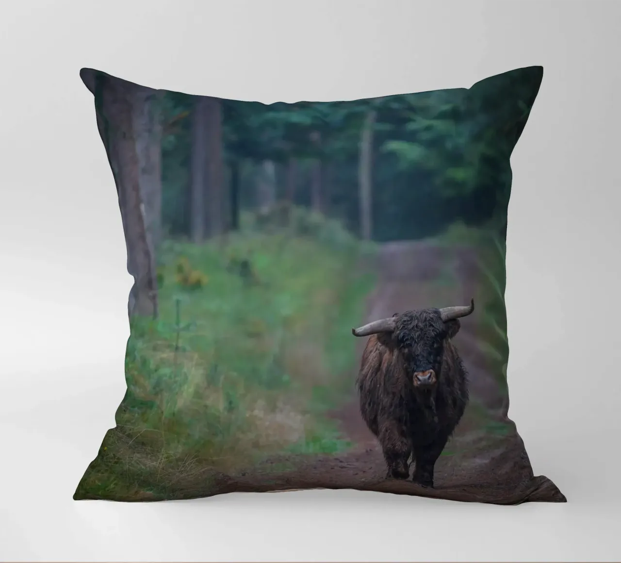 Mucca delle Highlands cuscino da Tom's Wildlife