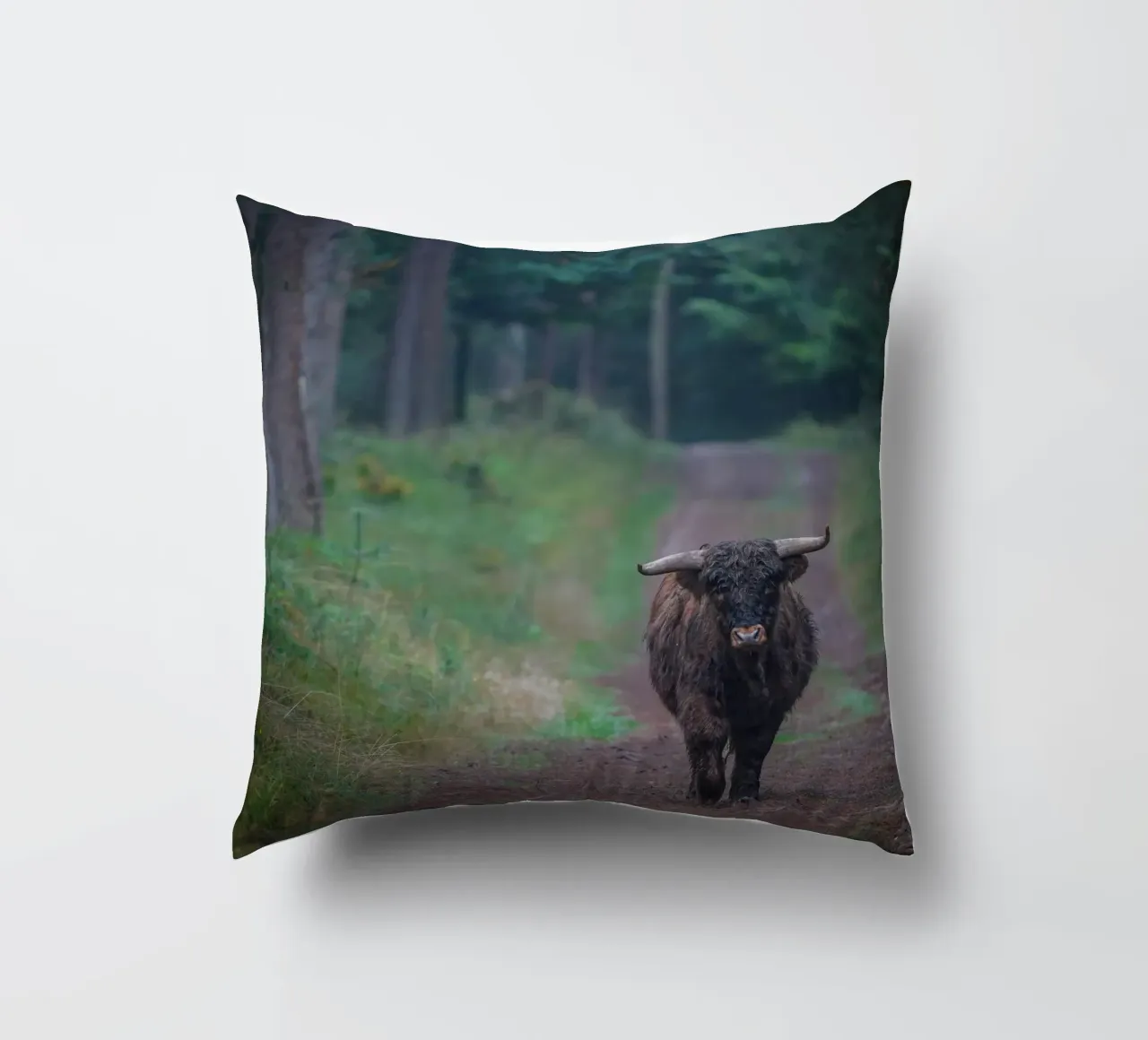 Mucca delle Highlands cuscino da Tom's Wildlife