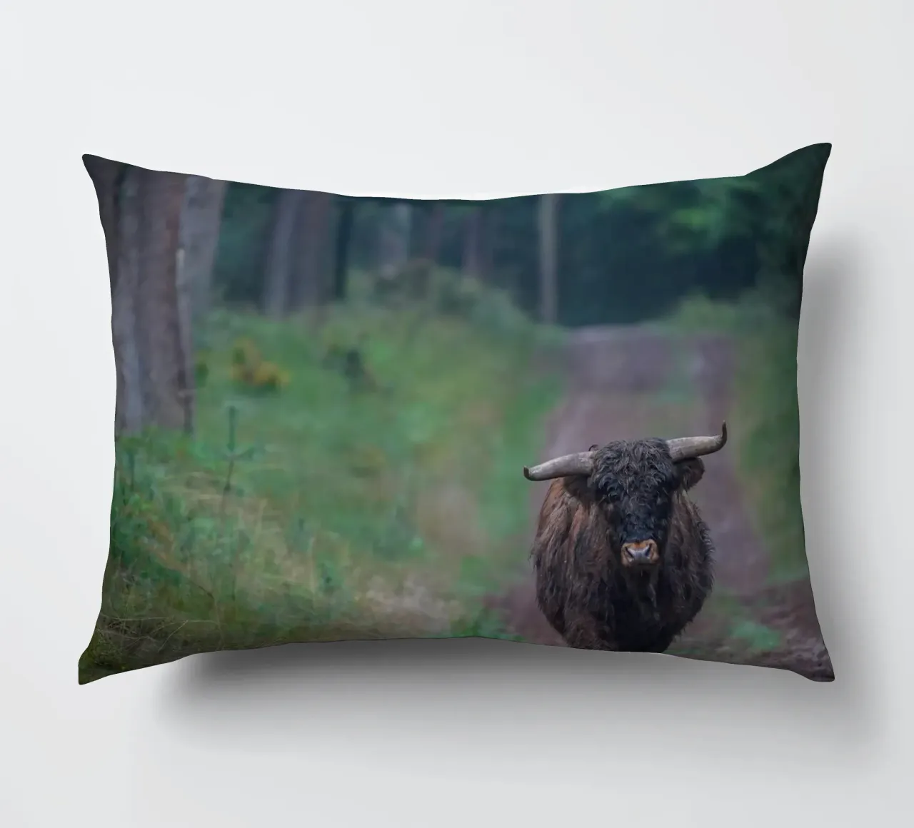 Mucca delle Highlands cuscino da Tom's Wildlife