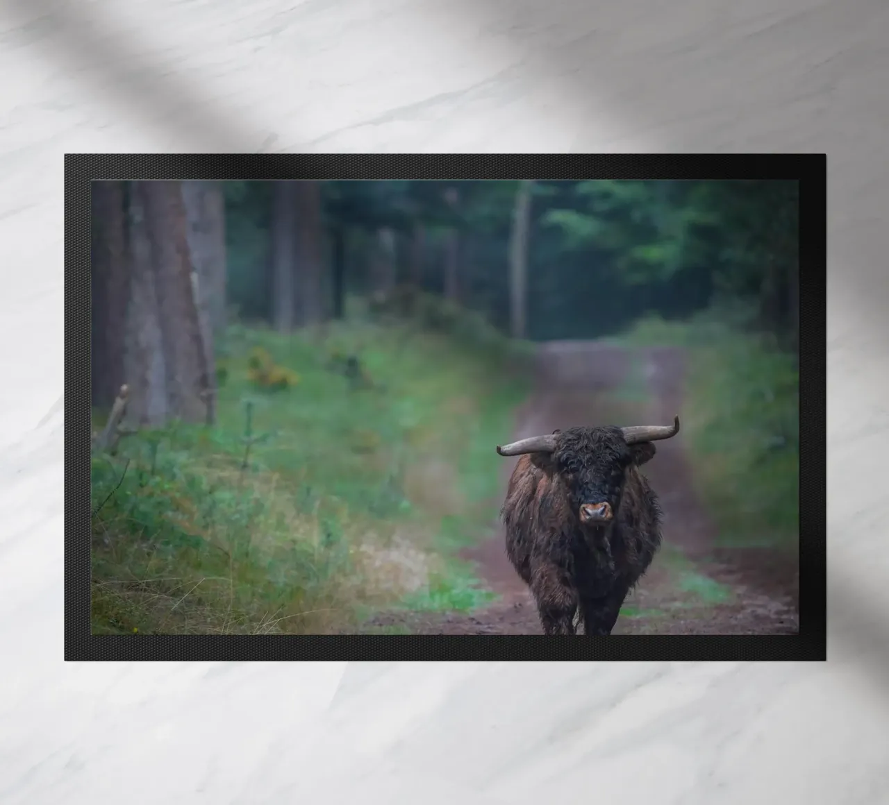 Mucca delle Highlands zerbino da Tom's Wildlife