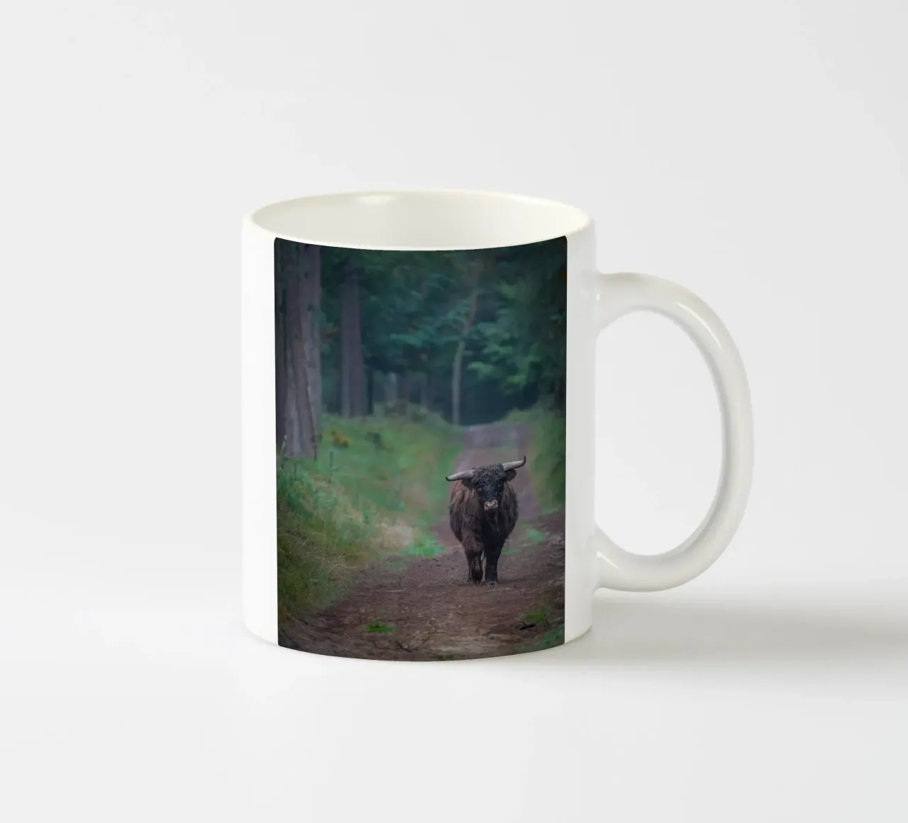 Mucca delle Highlands tazza in ceramica da Tom's Wildlife