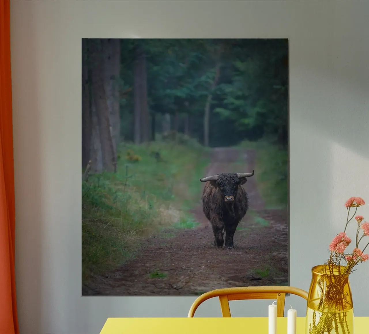 Mucca delle Highlands carta hahnemühle da Tom's Wildlife