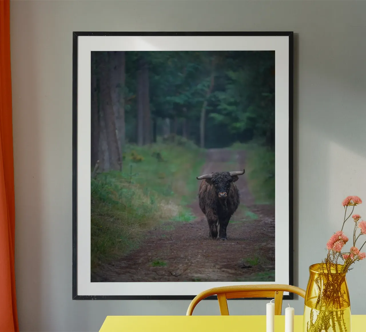 Mucca delle Highlands carta hahnemühle da Tom's Wildlife