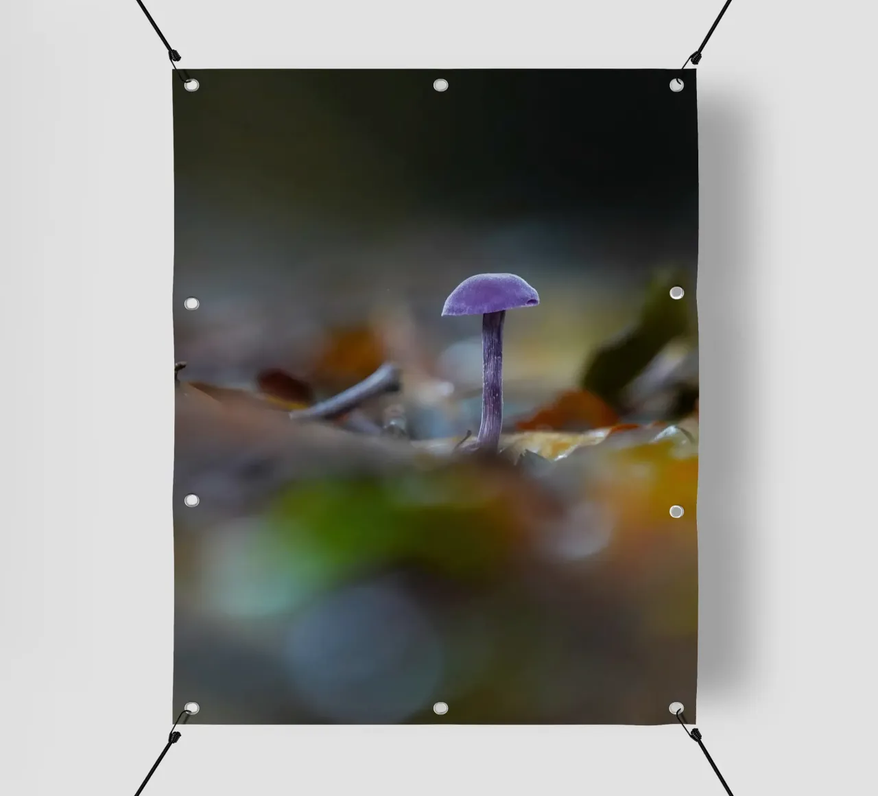 Funghi nella foresta telo in pvc da Tom's Wildlife