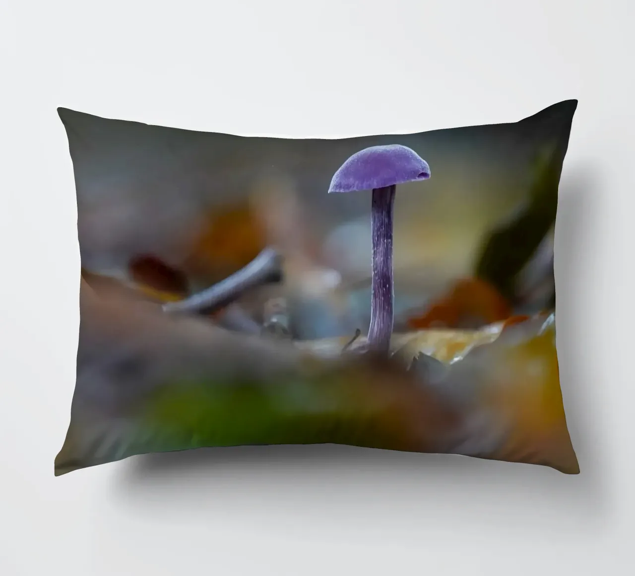 Funghi nella foresta cuscino da Tom's Wildlife