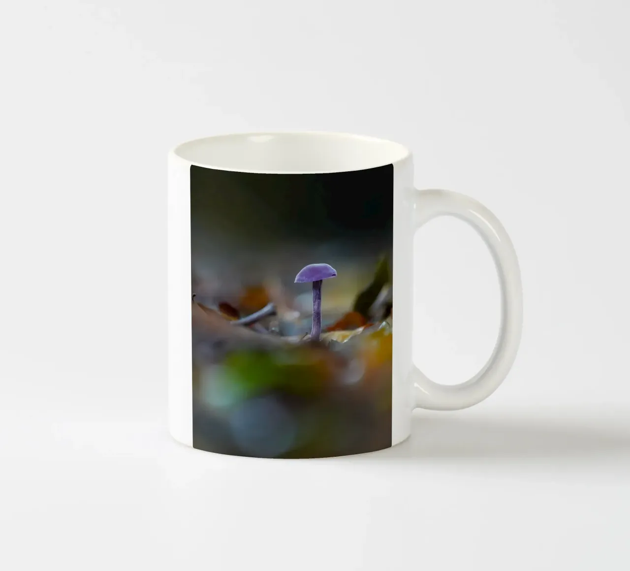 Funghi nella foresta tazza in ceramica da Tom's Wildlife