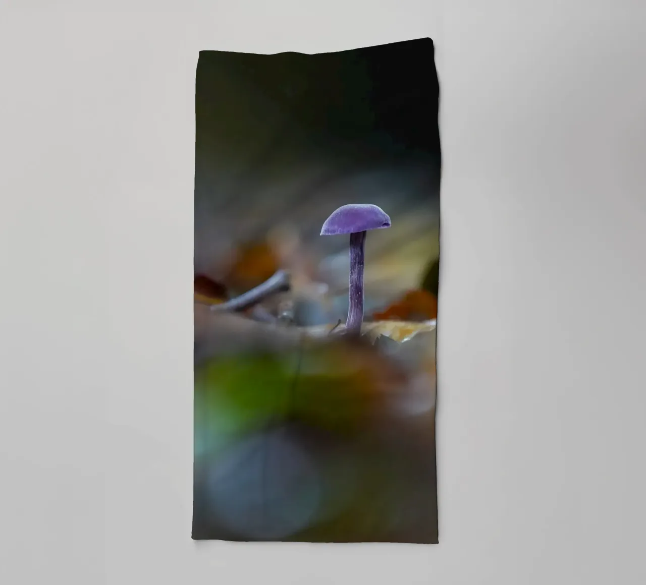 Funghi nella foresta asciugamano da bagno da Tom's Wildlife