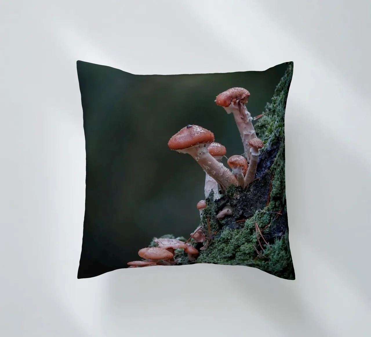 Funghi nella foresta cuscino da Tom's Wildlife
